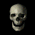 skull_rewind